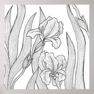 Iris-bloem met zwarte inkt poster