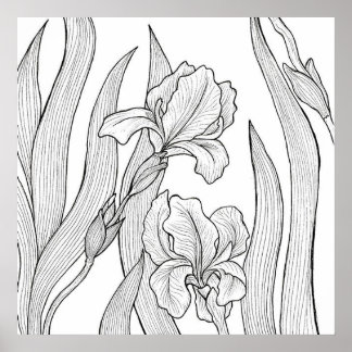Iris-bloem met zwarte inkt poster
