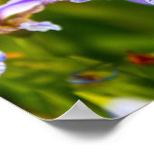 Iris Bloem Poster (Hoek)