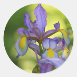 Iris bloem Stickers