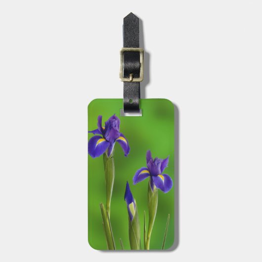 Iris Bloemen Bagagelabel (Voorkant verticaal)