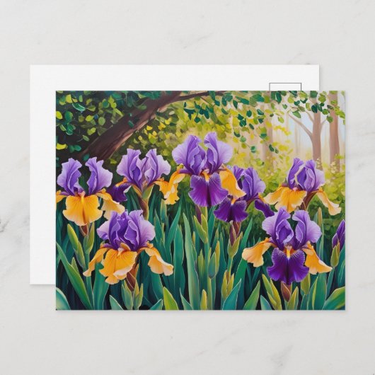 Iris Bloemen Bloeien In De Zomertuin Briefkaart (Voorkant / Achterkant)