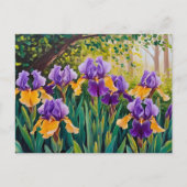 Iris Bloemen Bloeien In De Zomertuin Briefkaart (Voorkant)