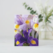 Iris bloemen briefkaart (Staand voorkant)