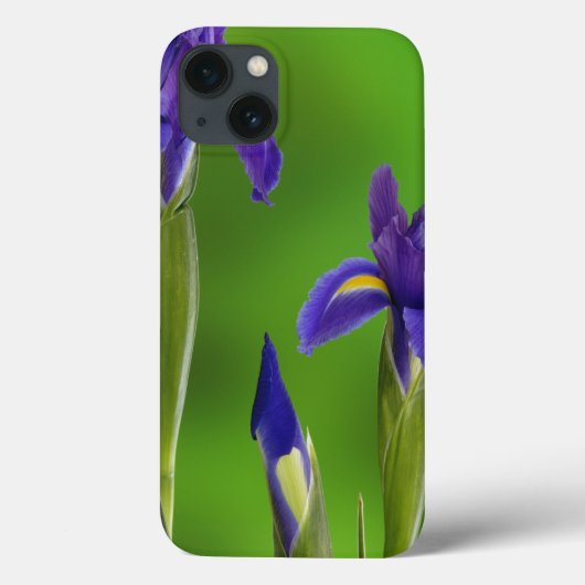 Iris Bloemen Case-Mate iPhone Case (Achterkant)
