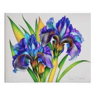Iris bloemen, de prachtige lente bloemen foto afdruk