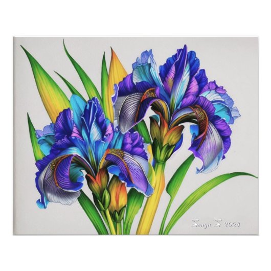 Iris bloemen, de prachtige lente bloemen foto afdruk (Voorkant)