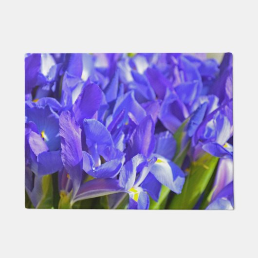 Iris bloemen deurmat (Voorkant)
