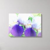 Iris Bloemen Fotografie Canvas Print (Voorkant)