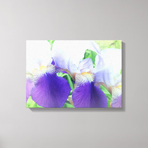 Iris Bloemen Fotografie Canvas Print
