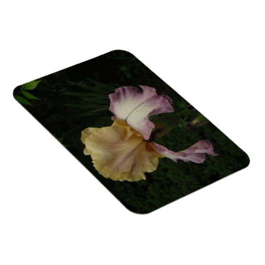 Iris Bloemen Fotografie Magneet (Rechterzijde)