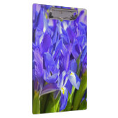 Iris bloemen klembord (Rechts)
