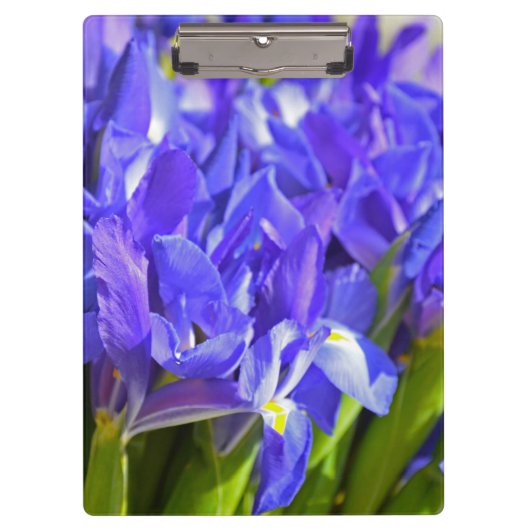 Iris bloemen klembord (Voorkant)