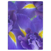 Iris bloemen klembord (Achterkant)