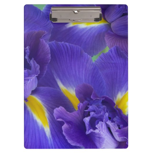 Iris bloemen klembord (Voorkant)