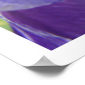 Iris Bloemen kunstprinten Paarse Iris Bloem Poster (Hoek)