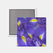 Iris bloemen magneet (Voorkant / Achterkant)