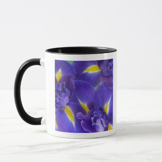 Iris bloemen mok (Links)