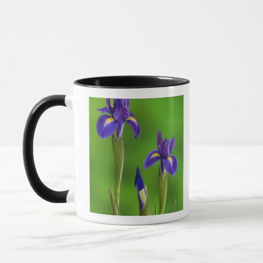 Iris Bloemen Mok (Links)