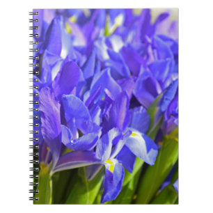 Iris bloemen notitieboek