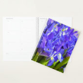 Iris bloemen planner (Display)