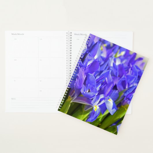 Iris bloemen planner (Display)