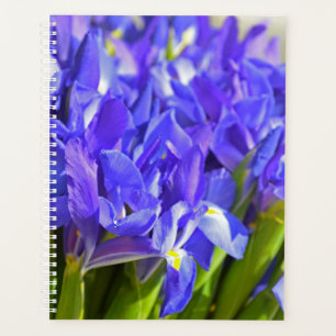 Iris bloemen planner