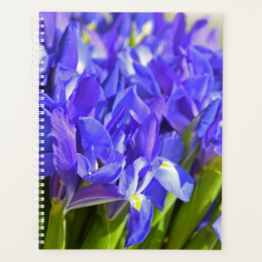 Iris bloemen planner (Voorkant)