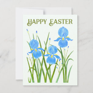 Iris Bloemen Plat Kaart