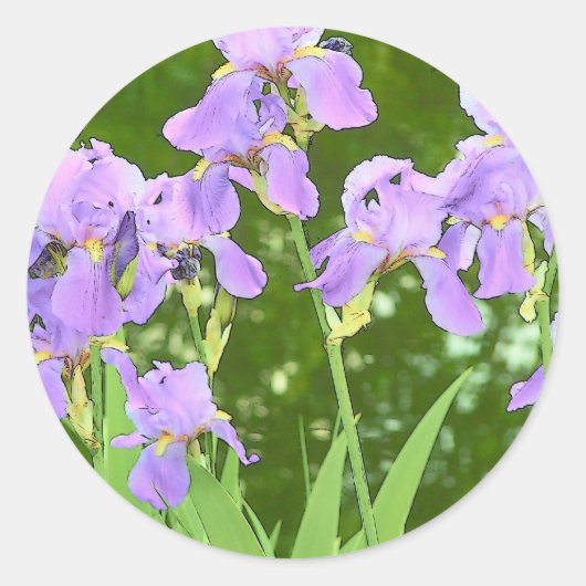 Iris bloemen ronde sticker (Voorkant)