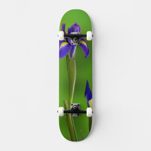 Iris Bloemen Skateboard (Voorkant)