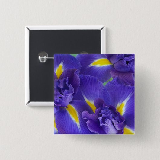 Iris bloemen vierkante button 5,1 cm (Voorkant /achterkant)