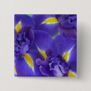 Iris bloemen vierkante button 5,1 cm