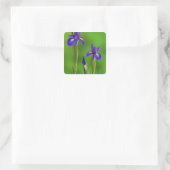 Iris Bloemen Vierkante Sticker (Tas)