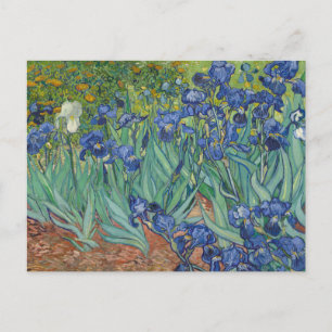 Iris, bloemenschilderij in olieverf, Vincent Van G Briefkaart