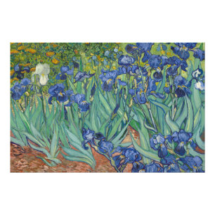 Iris, bloemenschilderij in olieverf, Vincent Van G Foto Afdruk