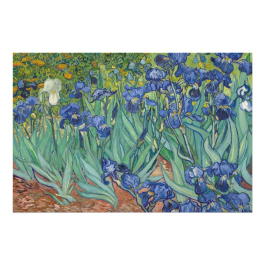 Iris, bloemenschilderij in olieverf, Vincent Van G Foto Afdruk (Voorkant)