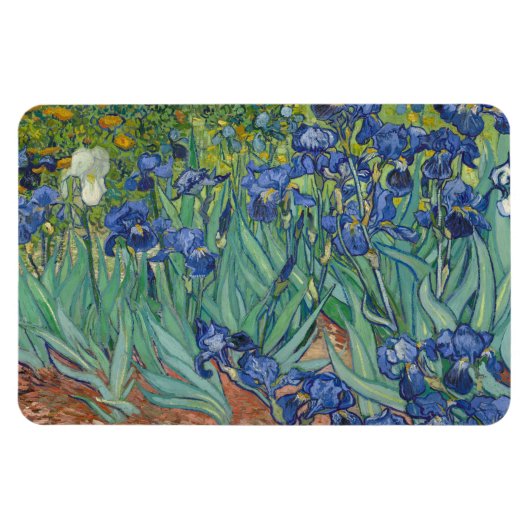 Iris, bloemenschilderij in olieverf, Vincent Van G Magneet (Horizontaal)
