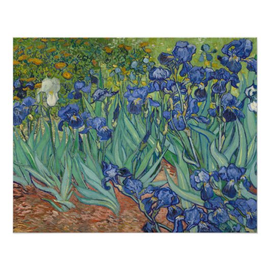 Iris, bloemenschilderij in olieverf, Vincent Van G Perfect Poster (Voorkant)