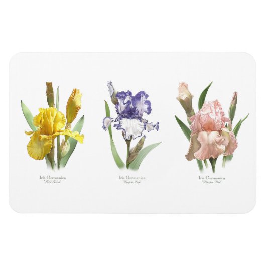 Iris Bloementuin Magneet (Horizontaal)