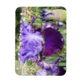 IRIS BLOEMMAGNEET Horizontaal Magneet (Verticaal)