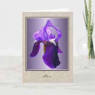 Iris - Bloemserie Kaart