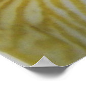 Iris-blokfoto Poster (Hoek)