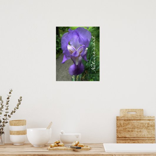 Iris-blokfoto Poster (Keuken)