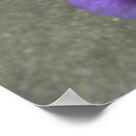 Iris-blokfoto Poster (Hoek)