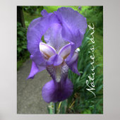Iris-blokfoto Poster (Voorkant)