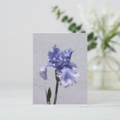 Iris Bloom Briefkaart (Staand voorkant)