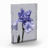 Iris Bloom Fotoblokken (Links)