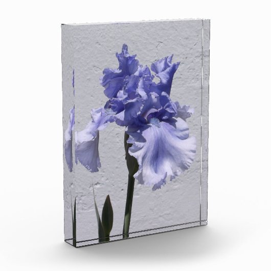 Iris Bloom Fotoblokken (Links)