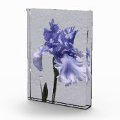 Iris Bloom Fotoblokken (Rechts)